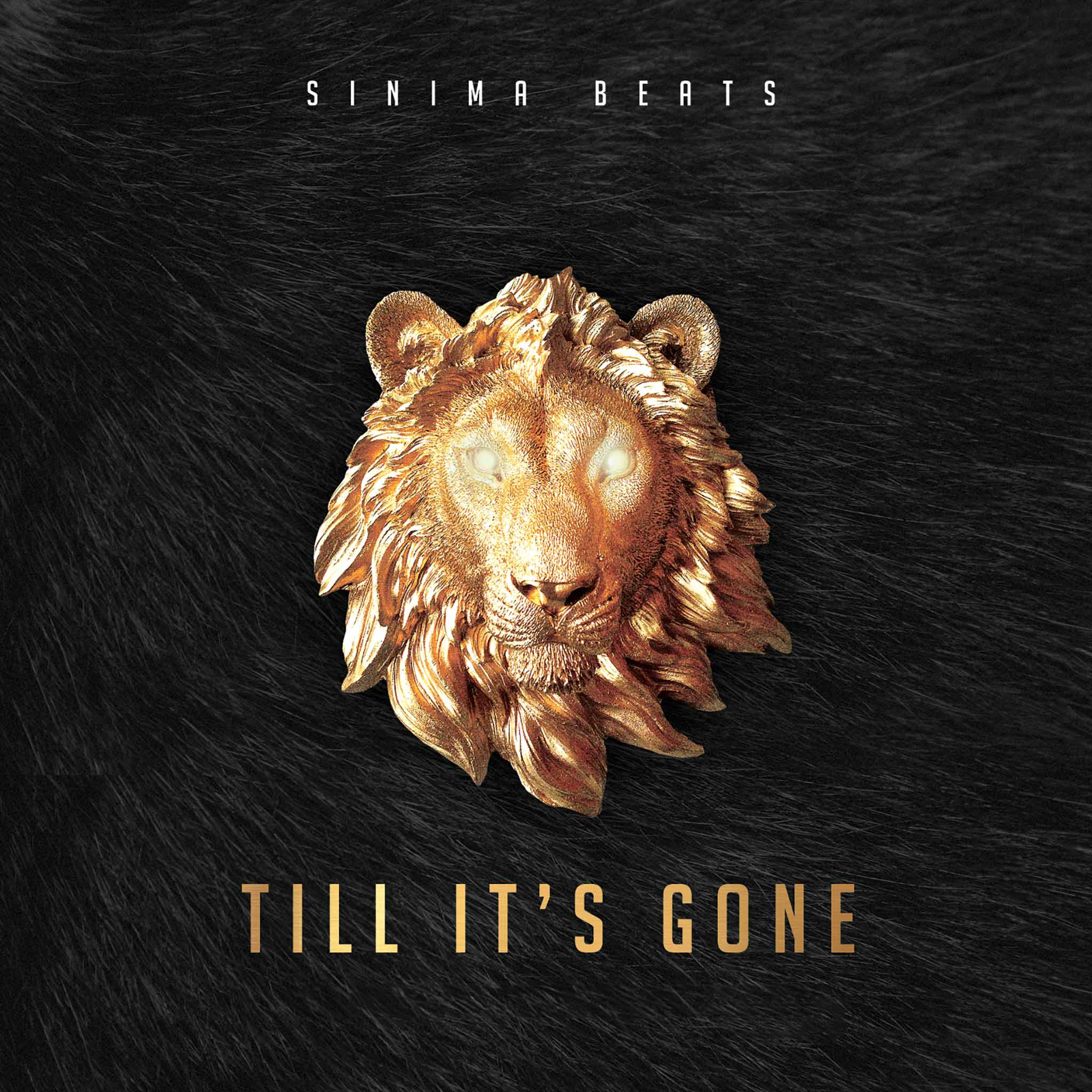 Golden lion head over dark fur textured background. Cover art for reggae music, titled "Till It's Gone."