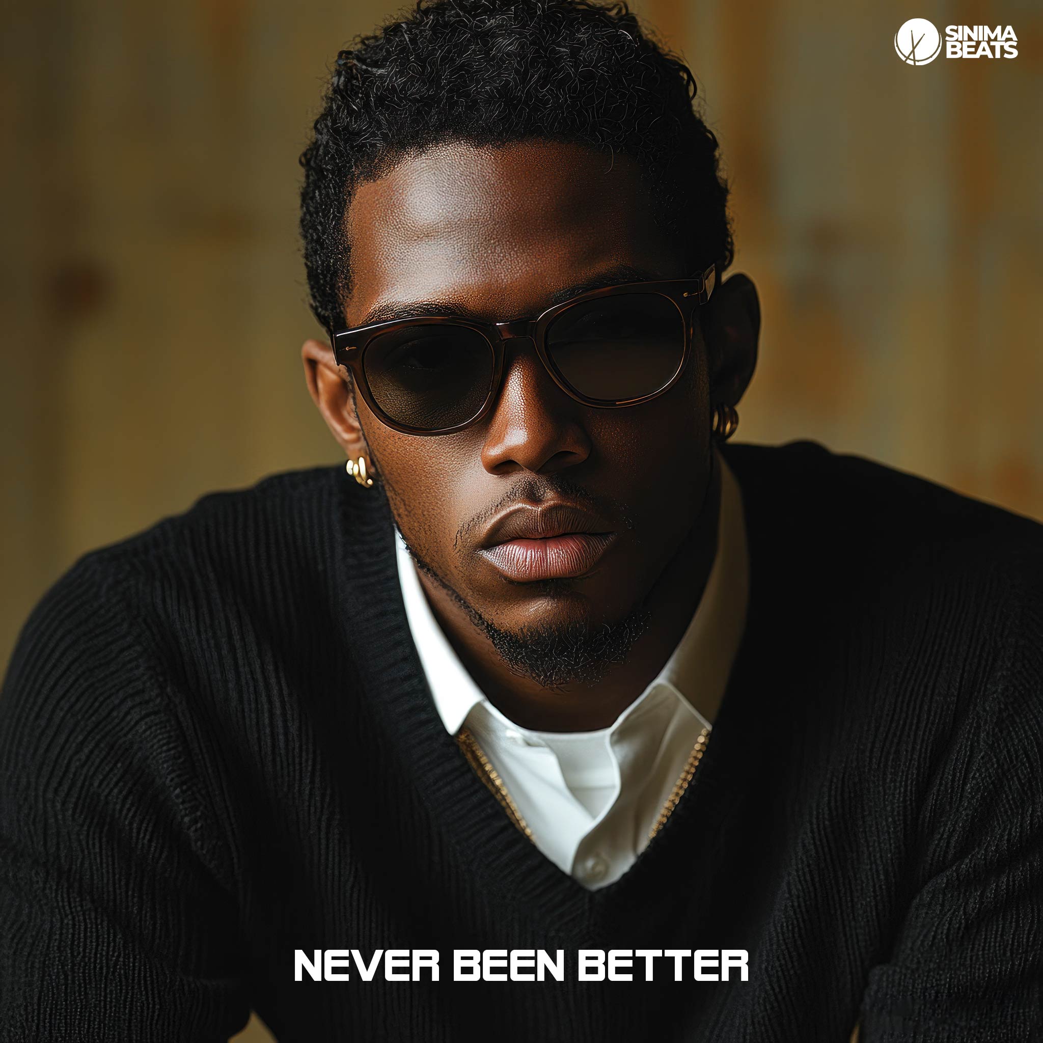 A black male model exudes confidence in this close-up photograph, wearing sunglasses and a preppy black sweater over a white dress shirt. The image is crafted to highlight his stylish and assured demeanor, reflecting the phrase "Never Been Better." The focus on his sophisticated outfit and expressive pose captures the essence of feeling at the peak of one’s personal and professional best.