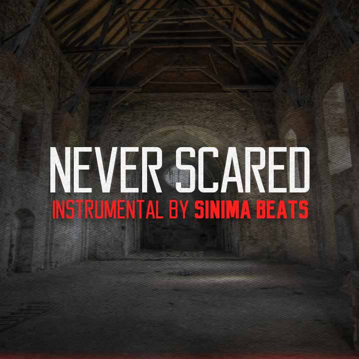 Sinima Beats - Never Scared Instrumental (Eminem, Marshall Mathers Lp style rap beat, D12, Dr Dre) sinimabeats.com