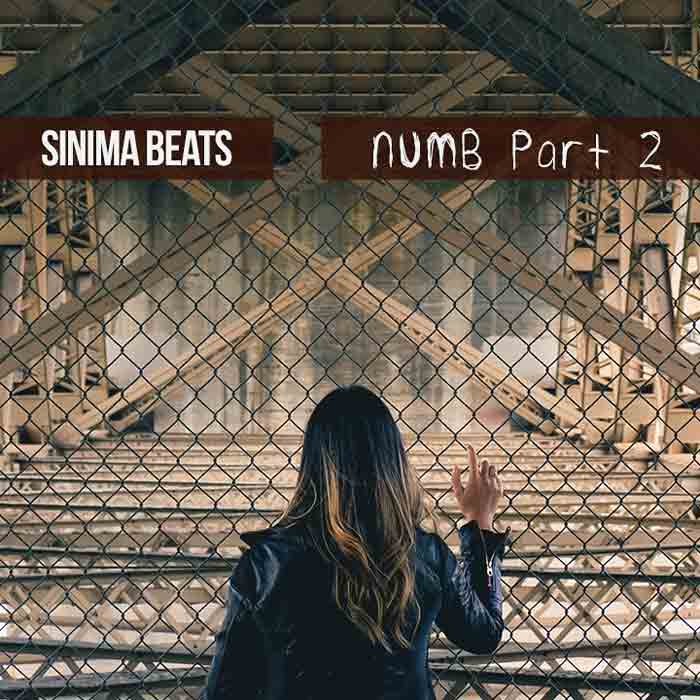 Sinima Beats - Numb Part 2 (Alternative Rock Rap Beat) Beats to Rap to for Recording Artists